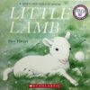Little Lamb